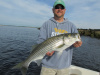 Eric's striped bass 8-7-13